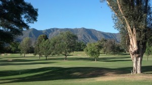 Ojai View