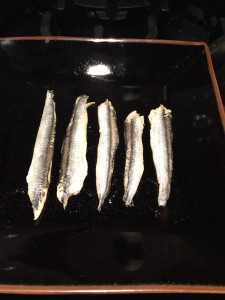 White Anchovy